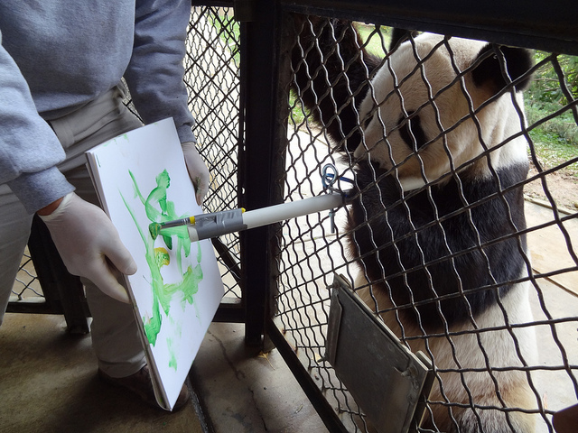 Photo: Smithsonian’s National Zoo 2012_01_paintingpanda